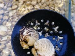 -川骄海鲜自助(河东店)