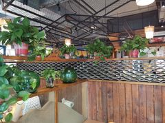 -77号·蒸海鲜青岛菜(积米崖店)