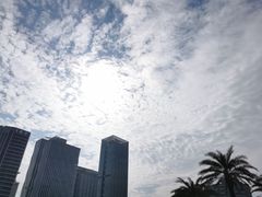 -荔香公园