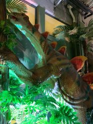 -恐龙探索乐园(磁器口店)