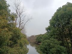 -上海滨江森林公园