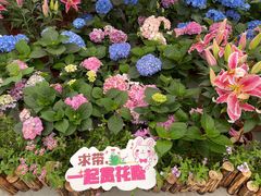 -万顷园艺世界