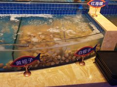 -乔哥铭洋海鲜自助(皇城恒隆广场店)