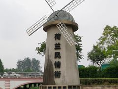 -荷兰花海