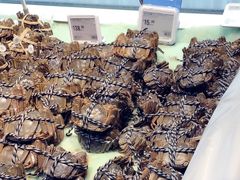 -盒马鲜生(红莲店)