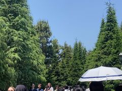 -日本环球影城