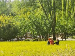 -北坞公园