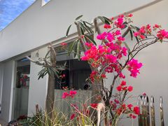 -胡里山炮台