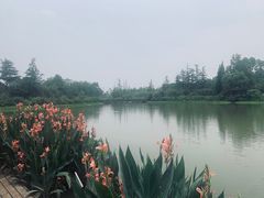 -桤木河湿地公园