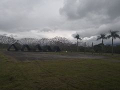 -瑞穗牧场