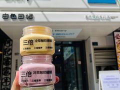 -白色日记·手作酸奶(麦凯乐店)