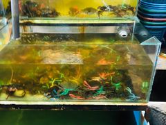 -ZF Seafood Restaurant 卓峰海鲜餐