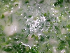 -昭山老食堂