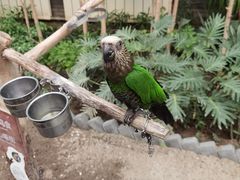 -南宫五洲植物乐园