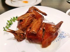 玻璃乳鸽-甄御•海鲜新青岛菜(麦岛店)