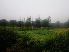 -洪湖家庭农场·团建·露营·会议