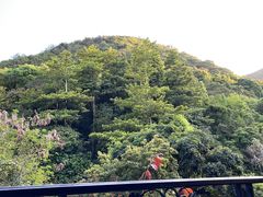 -深圳东部华侨城茵特拉根酒店