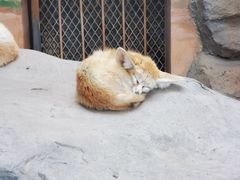 -上海野生动物园