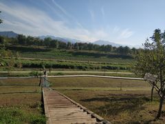 -洨河生态公园