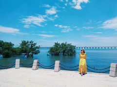 -宝安西湾红树林湿地公园