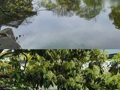 -沧浪亭