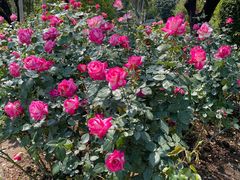 -人民公园(罗湖区)