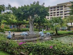 -渔家火锅·海鲜自助餐·演艺(亚龙湾天域酒店)