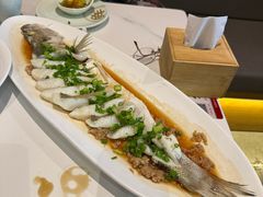-船歌·鱼水饺青岛菜(恒隆广场店)