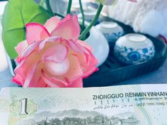 -家烧面馆【南山路知名经典面食】