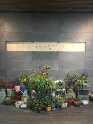 -可可丽舍