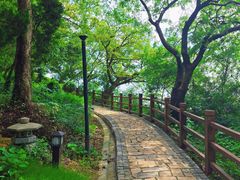 -外蒲山