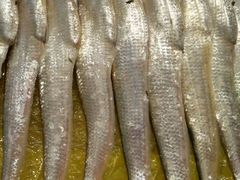 -龙宴海鲜城(经中路店)