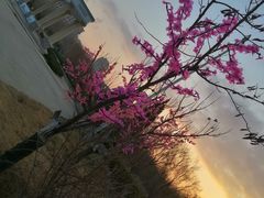 -哈尔滨工业大学(威海校区)