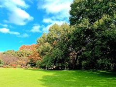 -上海共青森林公园