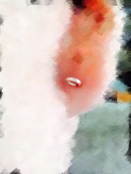 耳后环状-花师傅