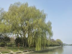 -广富林郊野公园