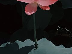 -高子水居