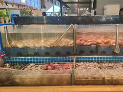 -鹿客臻鲜海鲜自助餐厅(永旺店)