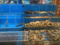 -聚宝渔港.五钻酒家(上地店)