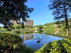 -元素自助餐厅·生蚝·海鲜·刺身(萝岗汇华希尔顿逸林酒店)