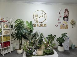 -寇氏减肥