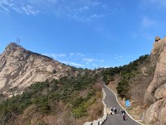 -鲁山国家森林公园