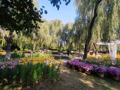 -石家庄市植物园