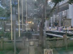 -探窝·竹笙椰子鸡(杨箕店)