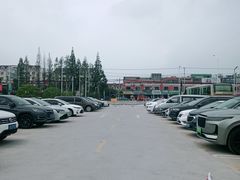 -新场古镇-停车场