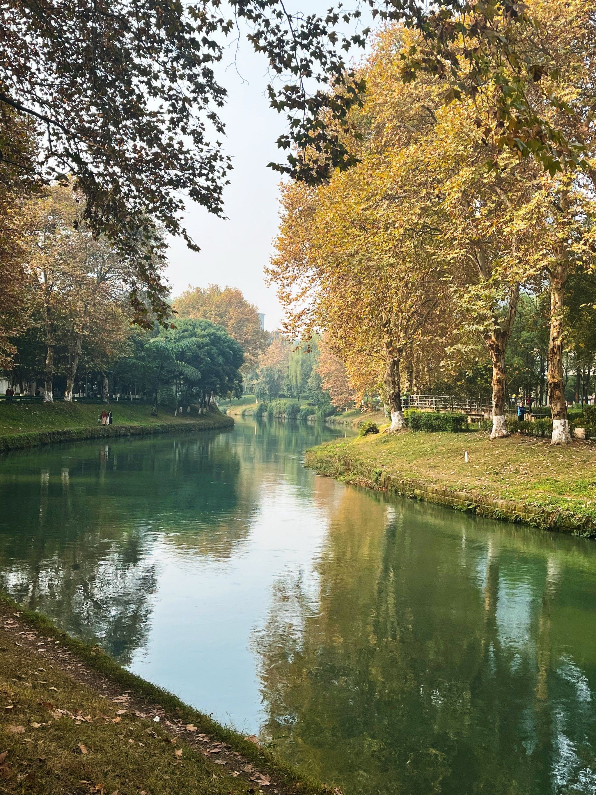 成都的塞纳河畔