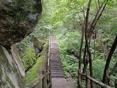 -西安祥峪森林公园