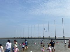 -碧海金沙