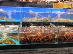 -苏格里岛自助烤肉海鲜火锅(成都金牛万达店)