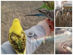 -萌宠亲子动物乐园(槐房万达店)